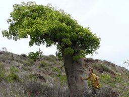 285134_10150262255434901_2133808_n